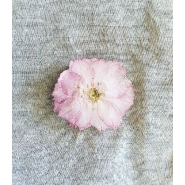 Broche fleur de cerisier