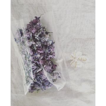 Sachet de lilas