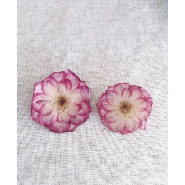 Broche églantine rose
